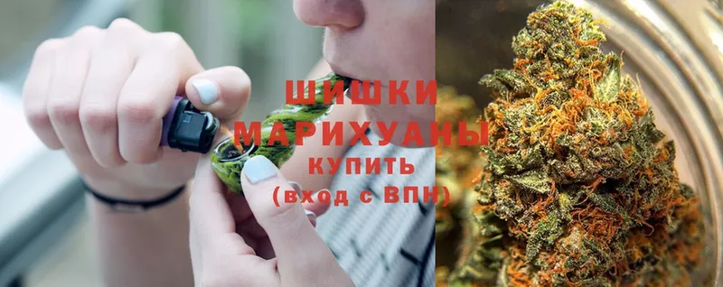 Бошки Шишки THC 21%  как найти наркотики  Болохово 